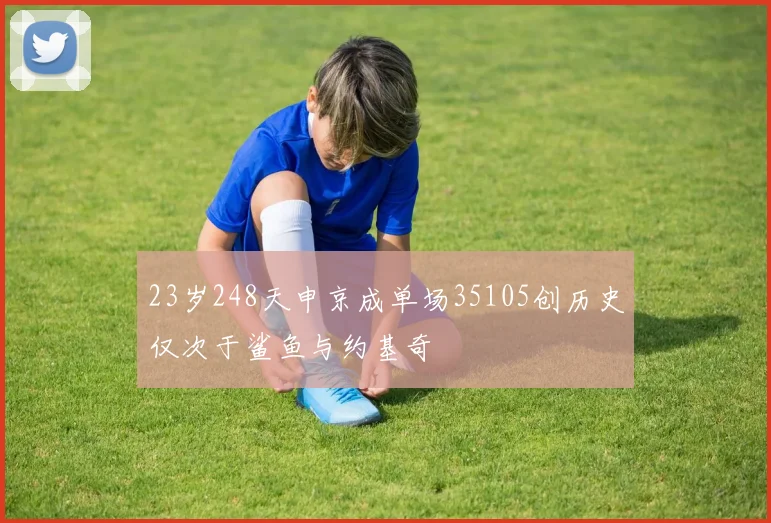 23岁248天申京成单场35105创历史仅次于鲨鱼与约基奇